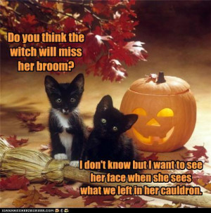 Funny Witch Photo Halloween...