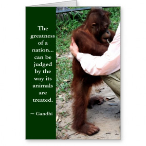 Animal Cruelty Quotes Gandhi