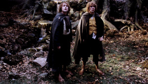 Played By: Dominic Monaghan & Billy Boyd