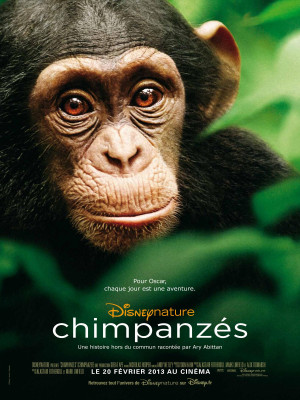 Un Oscar pour Chimpanzés ?
