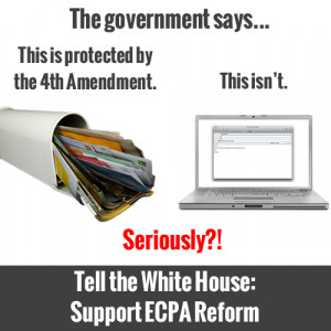 The Best Constitution Jokes