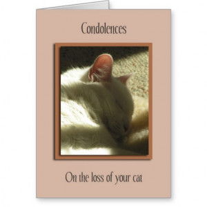 Pet Sympathy Loss of Cat Card
