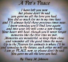 K9 Quotes, Pass Pet, Pet Remembrance, Pet Loss, Animales Quotes ...