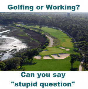 Golfing-or-Working-Can-you-say-stupid-question