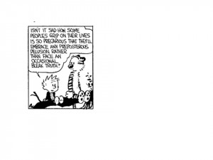 Calvin and Hobbes Quotes Principles