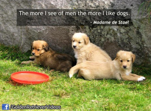 Inspirational Dog Quotes Golden Retrievers