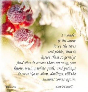 the excerpt above was spoken by alice in chapter 1 of through the ...