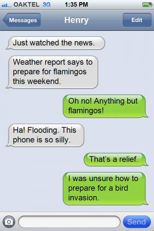 Overprotective Brother Texts An incoming text message.