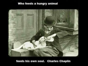 ... house that does you piece of shit don t leave it on the streets