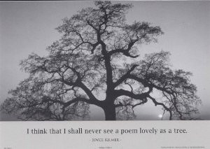 share facebook twitter pinterest qty 1 2 3 4 5 6 7 qty 1 $