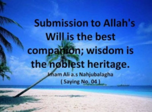 Sayings of Imam Ali Screenshot 4