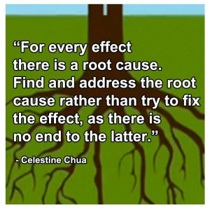 SUSTAINABLE LIVING - consciousazine