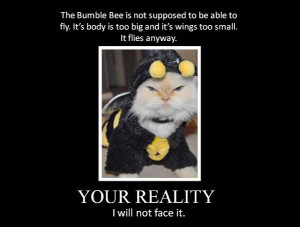 ... for Does the Law of Attraction Encourage People To Be Delusional