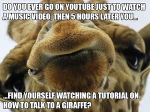 ... Later You Find Yourself Watching A Tutorial On How To Talk To A