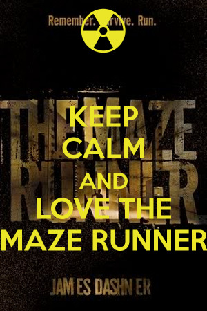 KEEP CALM AND LOVE THE MAZE RUNNER