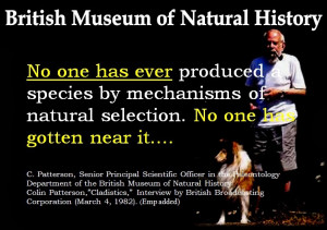 Free King James Bible (KJV) in PDF