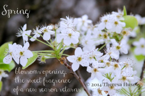Spring_dogwood-blossom-and-a-spring-quote_Theresa-Huse-2014-7303.jpg