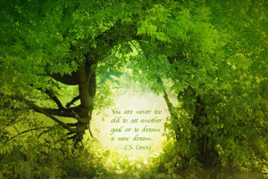 Inspired by the photograph by SergeyIT on Deposit Photos and a pin ...