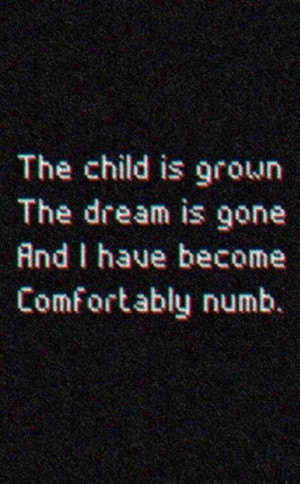 Comfortably Numb | Pink Floyd