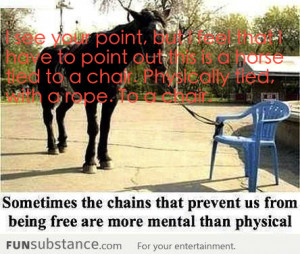 ... results for horse quote inspiration notreally chair misinterpreted