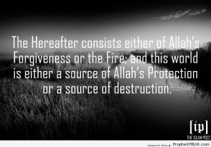 The Hereafter consists either of... - Islamic Quotes, Hadiths, Duas