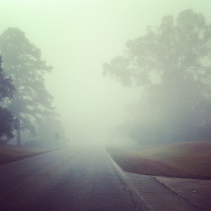 foggy foggy morning on the way to the city s christmas parade and ...
