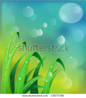 Fresh morning dew on spring grass in sunrise, natural background ...