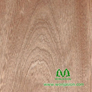 Mahogany Wood Veneer Sheets Rotary Cut