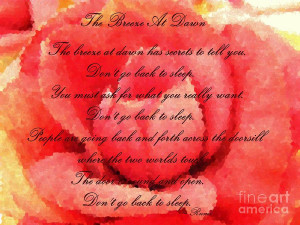 The Breeze At Dawn - Rose - Rumi Quote - Dont Go Back To Sleep ...