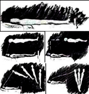 HauntedAmericaTours.com 