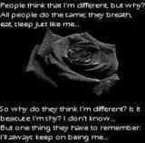 quotes sayings dark gothic black rose dark backgrounds layouts quotes ...