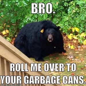 Obese Bear | Funny Pictures and Quotes