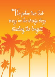 ... the breeze stays standing the longest more palm trees life quote trees