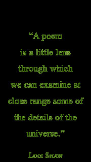 poem is a little lens through which we can examine at close range ...