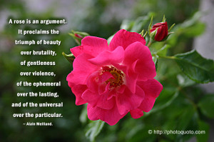 Sayings, Quotes: Amelia Earhart