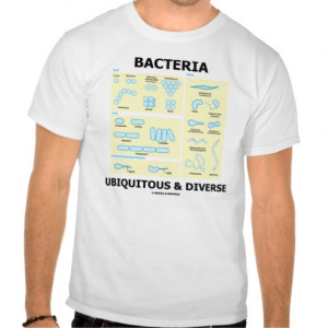 bacteria_ubiquitous_diverse_microbiology_humor_tshirt ...
