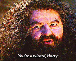 Quotes From Harry Potter And The Sorcerers Stone Harry potter my gifs ...