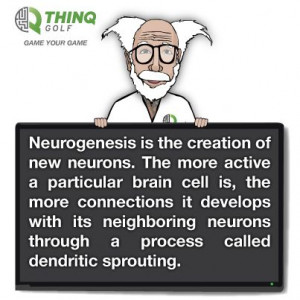 game your brain - www.THINQGolf.com