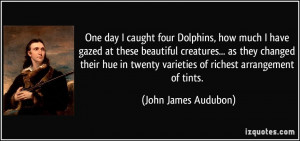 One day I caught four Dolphins, how much I have gazed at these ...