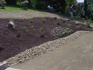 Funny Quotes Contact Dmca