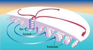 Cyclone Formation