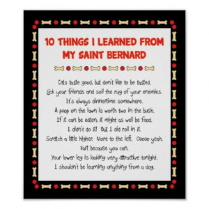 funny_things_i_learned_from_my_saint_bernard_poster ...