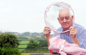 Don't release sky lanterns on Bonfire night, pleads councillor