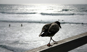 Top 10 Broken Friendship Quotes