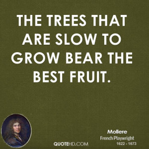 The trees that are slow to grow bear the best fruit.