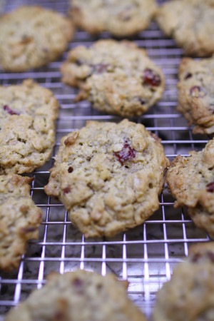 Oatmeal Coconut Cranberry Cookies