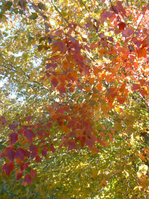 Leave a Reply Cancel reply