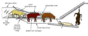 Art:Diagram of Temple Grandin's conveyor system for humane animal ...