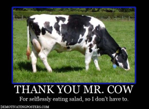 ... -posters-demotivational-posters-funny-posters-posters-cow-meat-salad