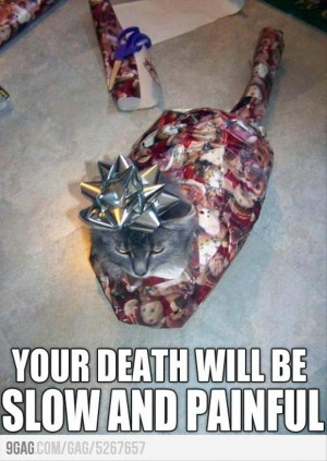 Return to Proof Cats Hate Christmas – 21 Pics
